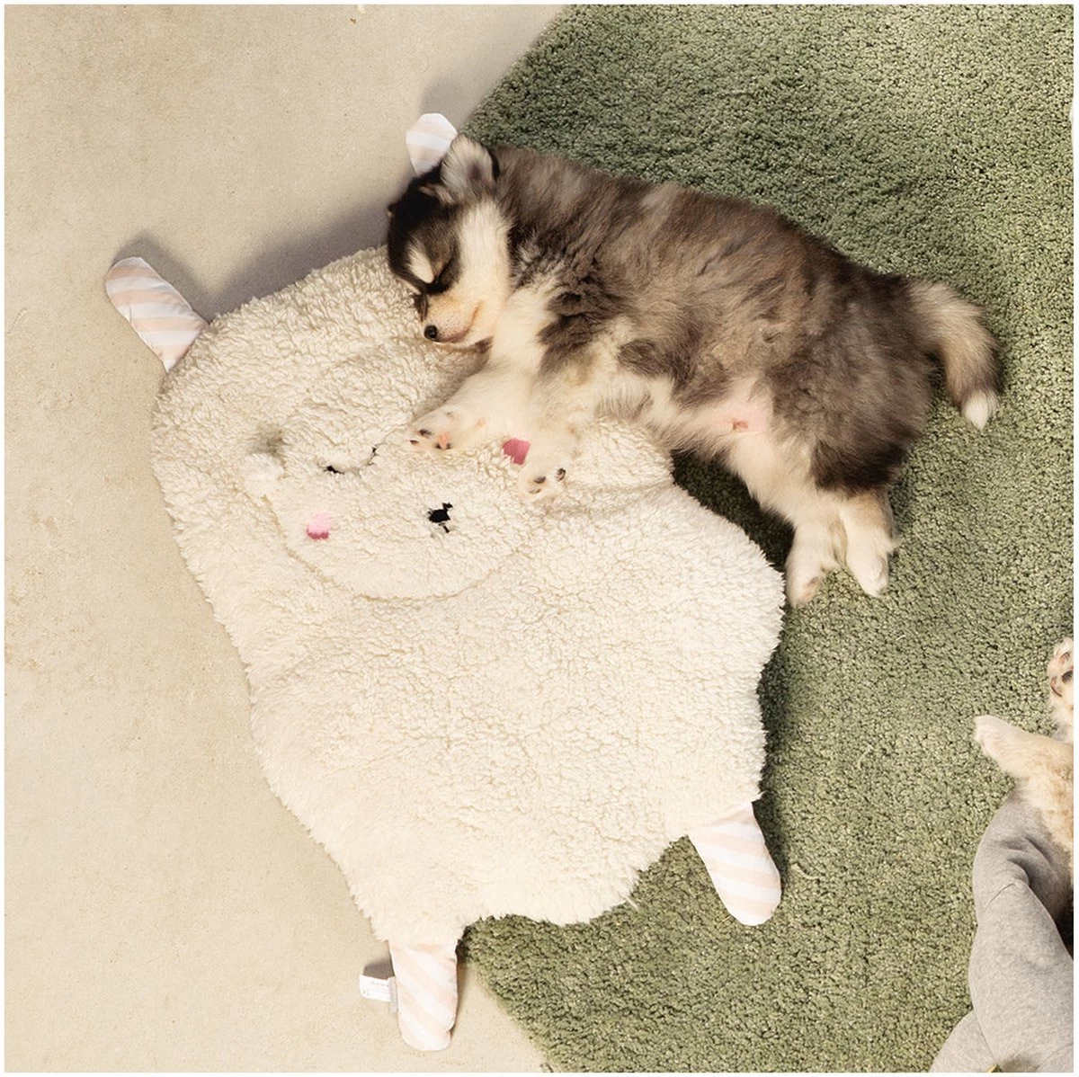 Beeztees Puppy Sjiepo - Hondenspeelgoed - Wit - 40x22x5 Cm - Afbeelding 7