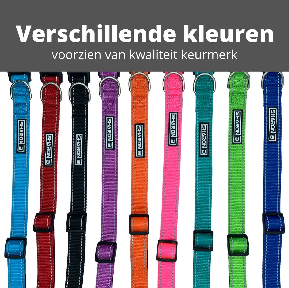 Halsband Hond - Reflecterend - Zwart - Maat M - Oersterk - Waterdicht - Hondenhalsband - Geschikt Voor Iedere Hondenriem - Voor Middelgrote Honden - Afbeelding 10