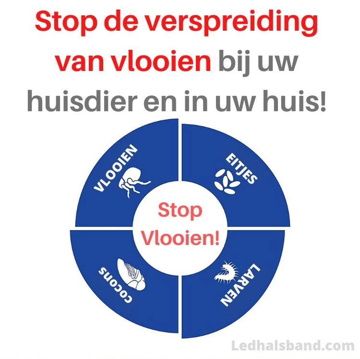 Anti Vlooien- En Teken Band | Blauw | 100% Natuurlijk | Zonder Gevaarlijke Pesticiden Als Diazinon, Imidaclopride En Flumethrine | Op Basis Van Essentiële Oliën | Houdt Teken, Vlooien En Mijten Op Afstand. - Afbeelding 5