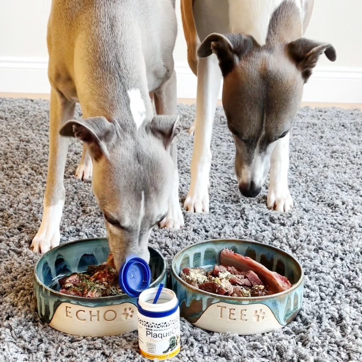 ProDen PlaqueOff Powder – 100% Natuurlijke Gebitsreiniging Voor Honden - Met Doseerschepje - 60 Gram - Afbeelding 3