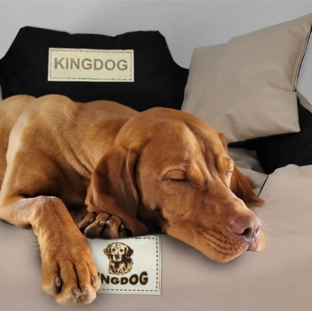 KingDog - Groot Honden- En Kattenbed 75 X 65 | Donkergrijs - Maat M - Afbeelding 4
