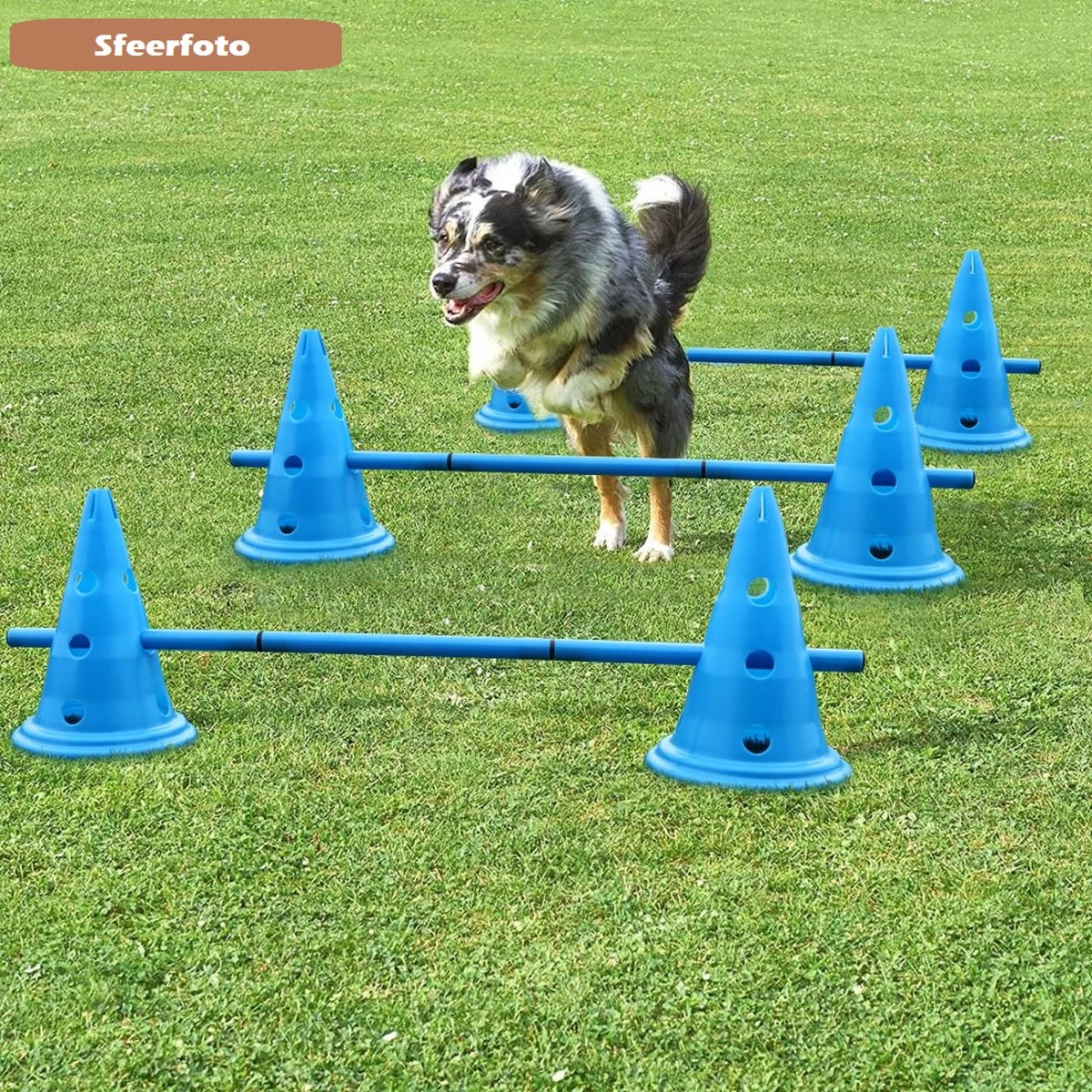 Agility Voor De Hond - Honden Training - Dog Activity - Behendigheid Hond - Parcours - Afbeelding 4