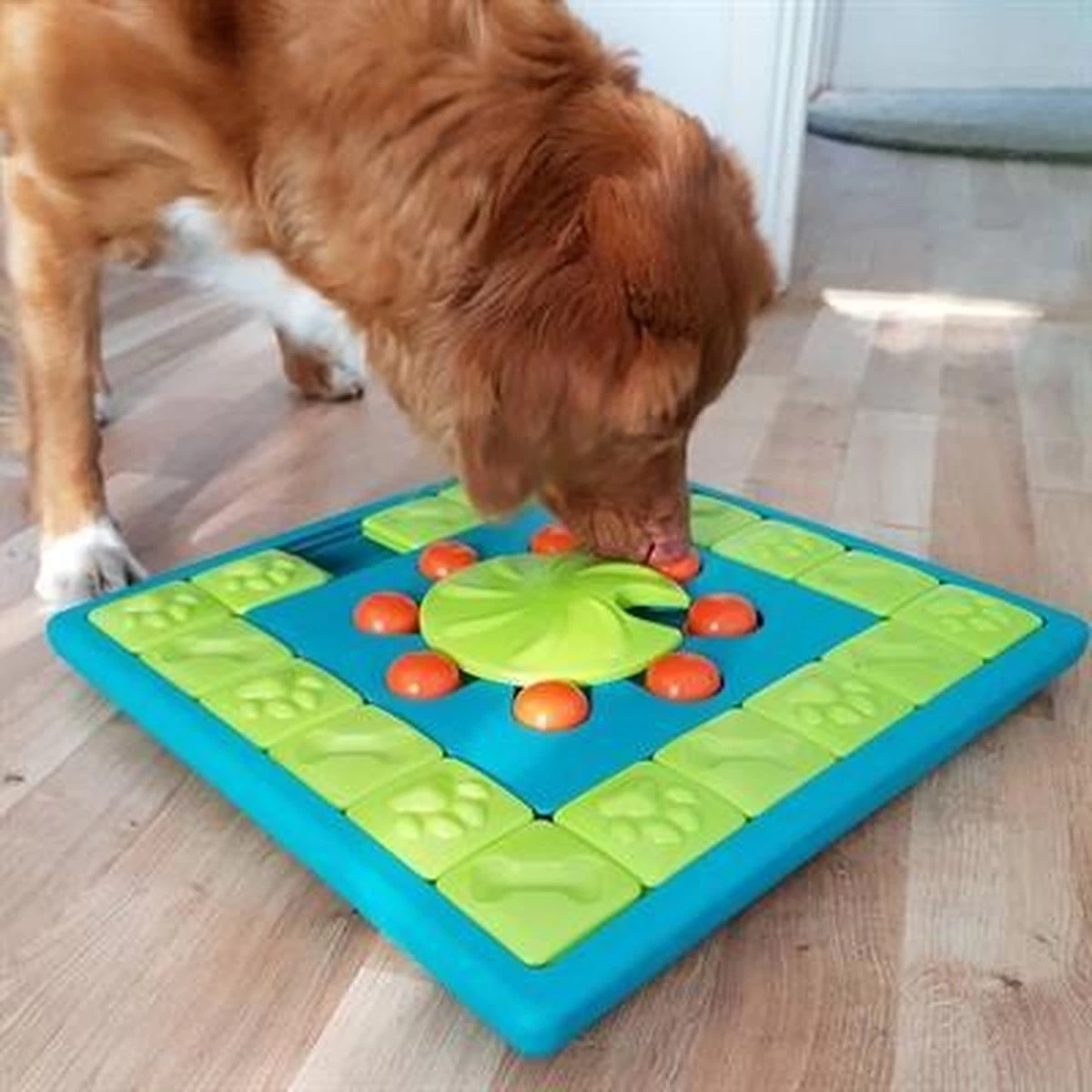 Nina Ottosson Interactieve Hondenpuzzel Vulbaar Met Snacks Voor De Slimste Honden - Outward Hound Multipuzzle - Afbeelding 8