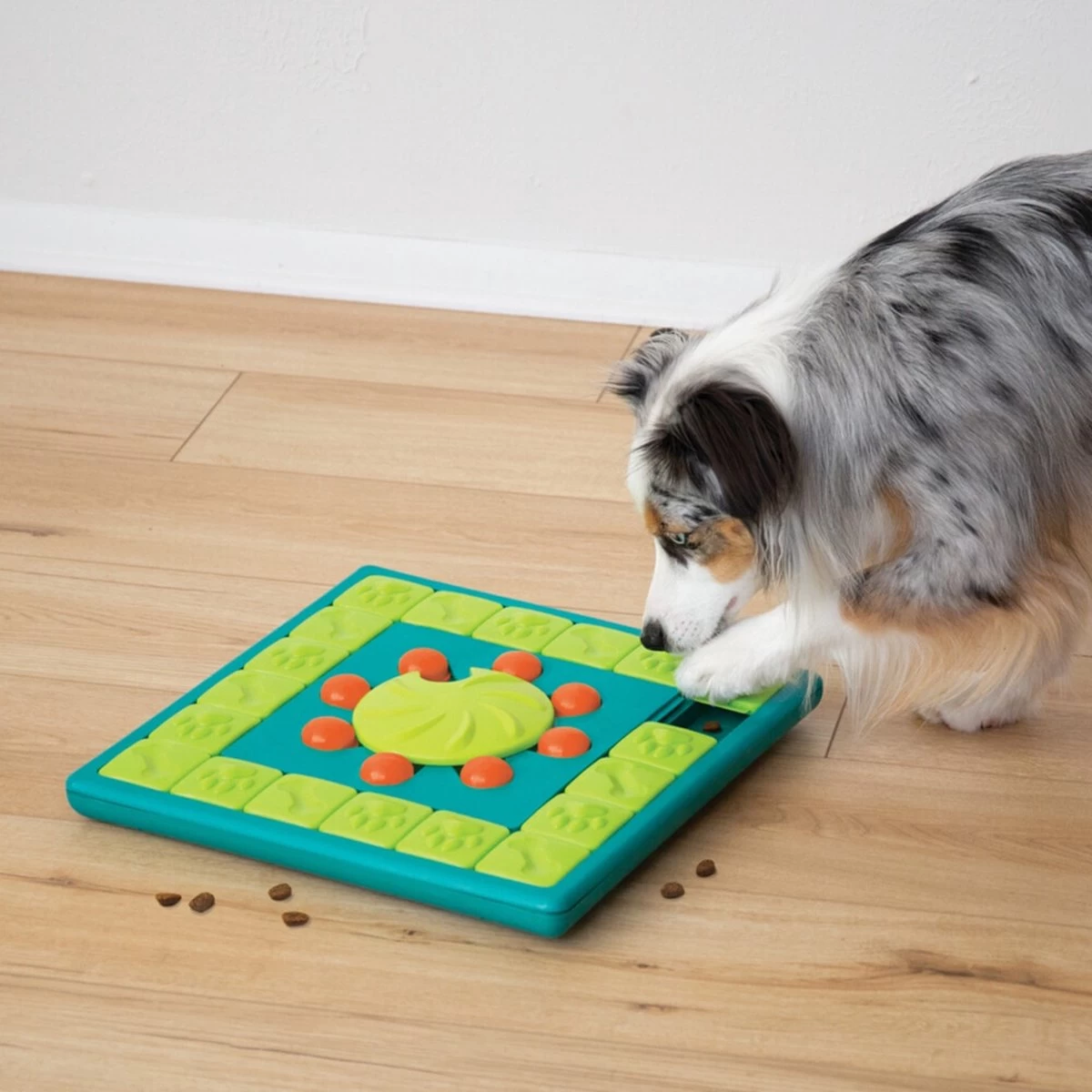 Nina Ottosson Interactieve Hondenpuzzel Vulbaar Met Snacks Voor De Slimste Honden - Outward Hound Multipuzzle - Afbeelding 9