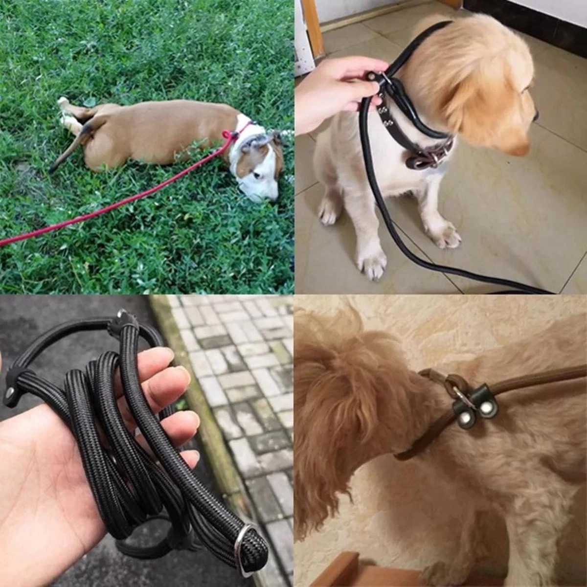 LOUZIR Cesar Millan Sliplijn Met Stop - Hondenriem - Rood - 130 Cm - Afbeelding 2