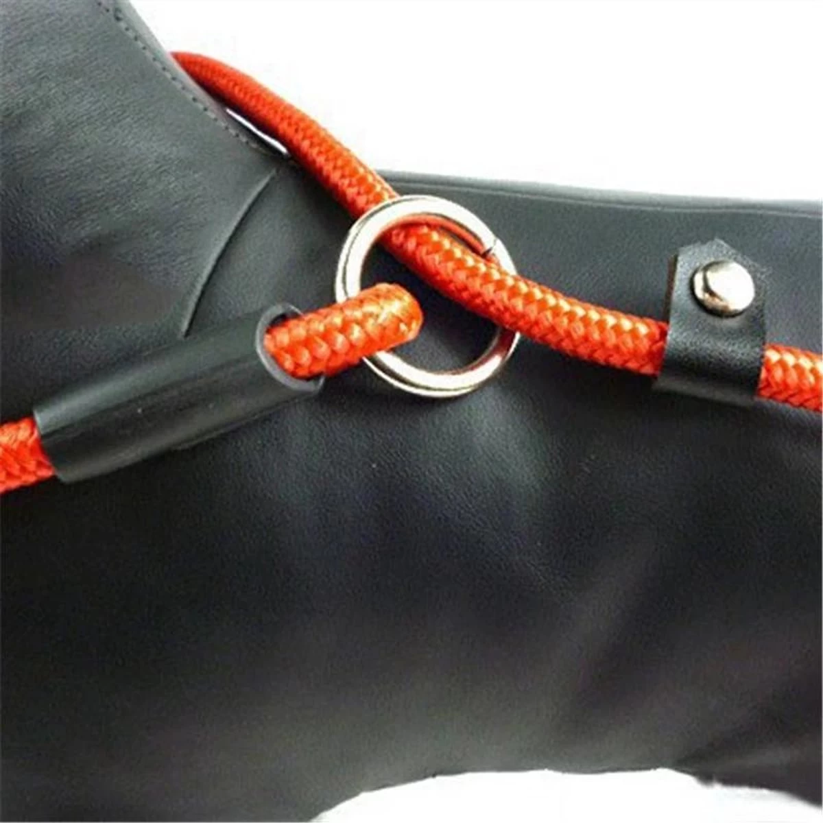 LOUZIR Cesar Millan Sliplijn Met Stop - Hondenriem - Rood - 130 Cm - Afbeelding 11