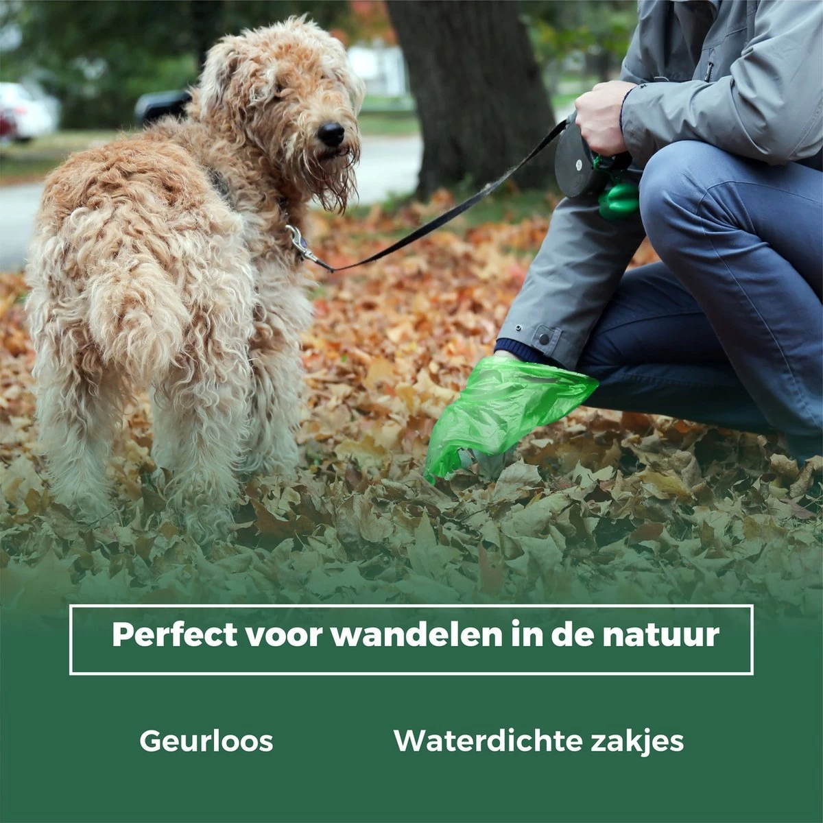 YORGS Hondenpoepzakjes Groen - Duurzame Poepzakjes Hond - Grote Sterke Zakken - 600 Stuks - 40 Rollen - 33 X 22 CM - Afbeelding 8