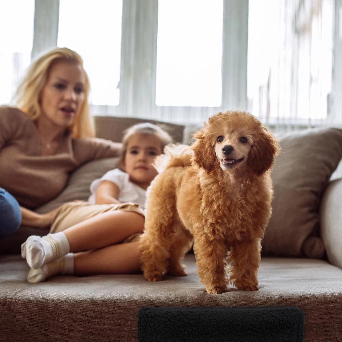 Relaxdays Hondentrap 3 Treden - Trapje Voor Honden - Opstapje Hond - Binnen - Hondentrapje - Zwart - Afbeelding 4