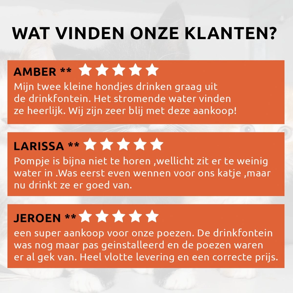 PetGoods Drinkfontein - Honden & Katten – 3 Liter - Fluisterstil - Drinkfontein Kat - Incl. Filter & Pomp - Afbeelding 9