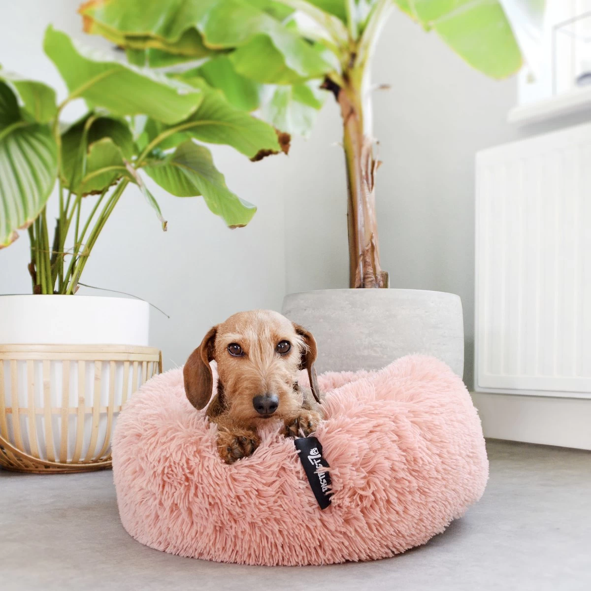 District 70 FUZZ - Hondenmand Comfortabel En Zacht Pluche - Zand, Oudroze, Donkergrijs En Lichtgrijs In S/M/L/XL - Maat: Medium, Kleur: Zand - Afbeelding 2