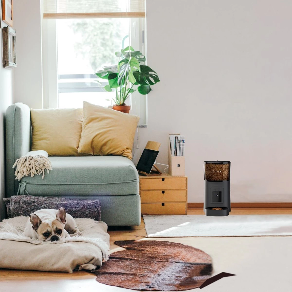 PetHero 3 Voerautomaat Zwart - Verstelbare Camera - Smartphone Besturing - Automatische Voerbak Voor Kat Of Hond - 6.0 L - Afbeelding 9