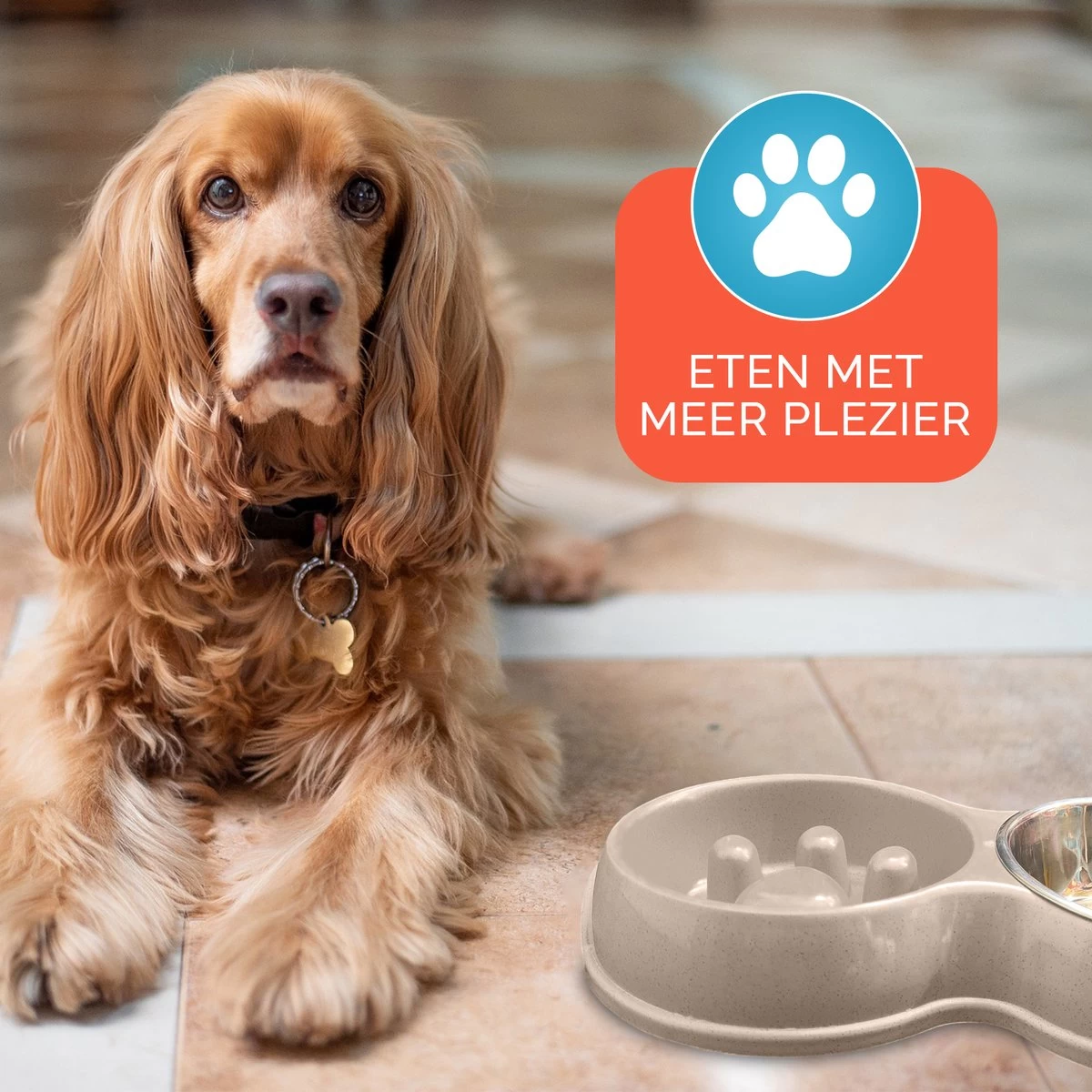 Anti Schrokbak Voor Kleine Honden - Hondenvoerbak - Slowfeeder Voerbak Katten - Hondenbak En RVS Waterbak - Afbeelding 5