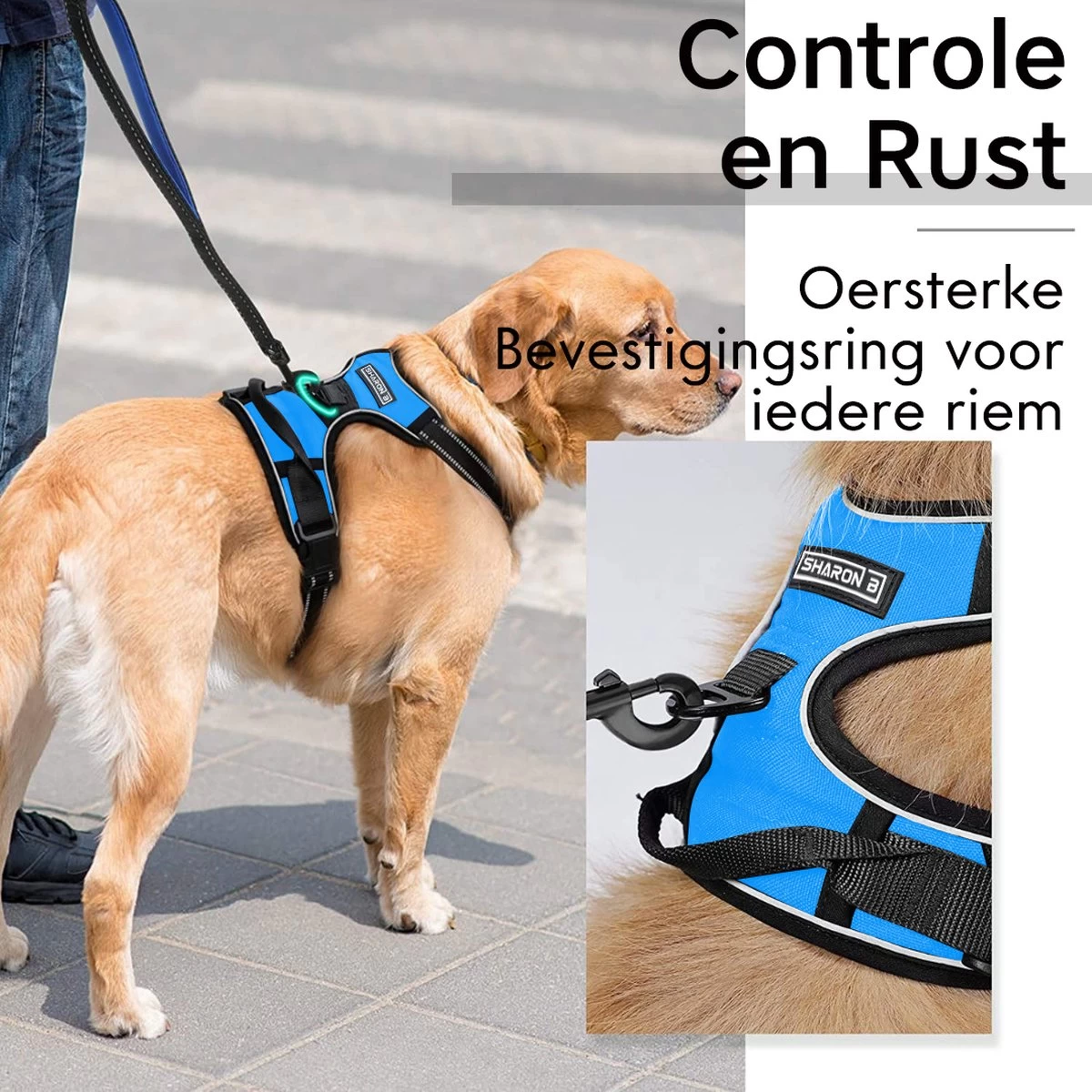 Sharon B - Hondentuigje - Voor Middelgrote Honden - Blauw - Maat M - No Pull Harnas - Anti Trek - Reflecterend - Hoeft Niet Over Het Hoofd Aangetrokken Te Worden - Afbeelding 3