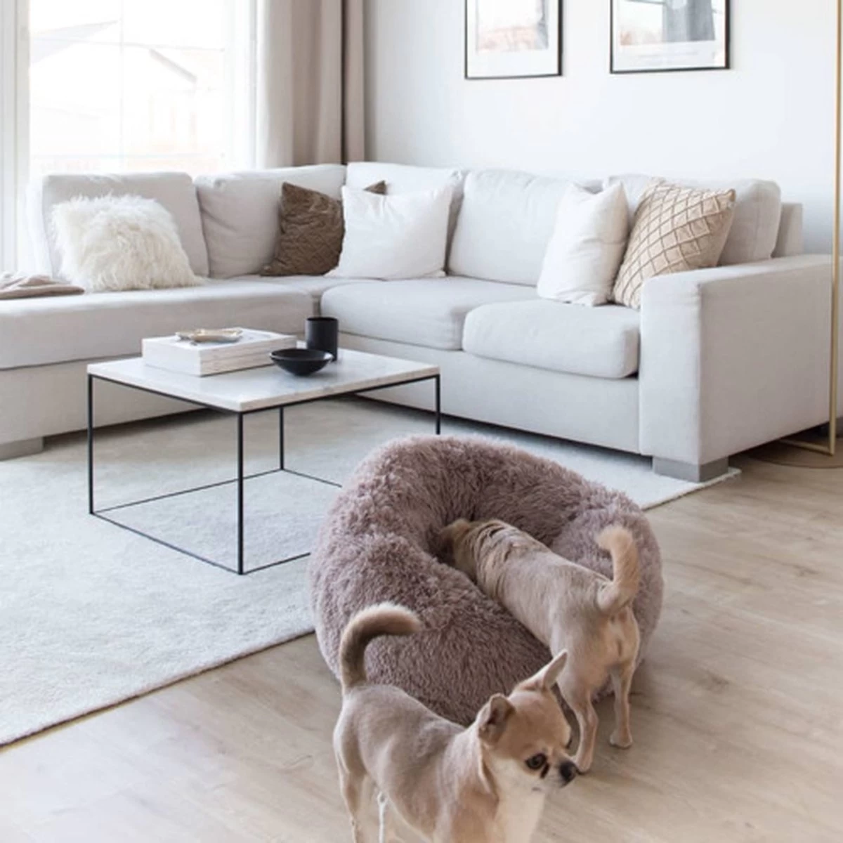 District 70 FUZZ - Hondenmand Comfortabel En Zacht Pluche - Zand, Oudroze, Donkergrijs En Lichtgrijs In S/M/L/XL - Maat: Medium, Kleur: Zand - Afbeelding 12