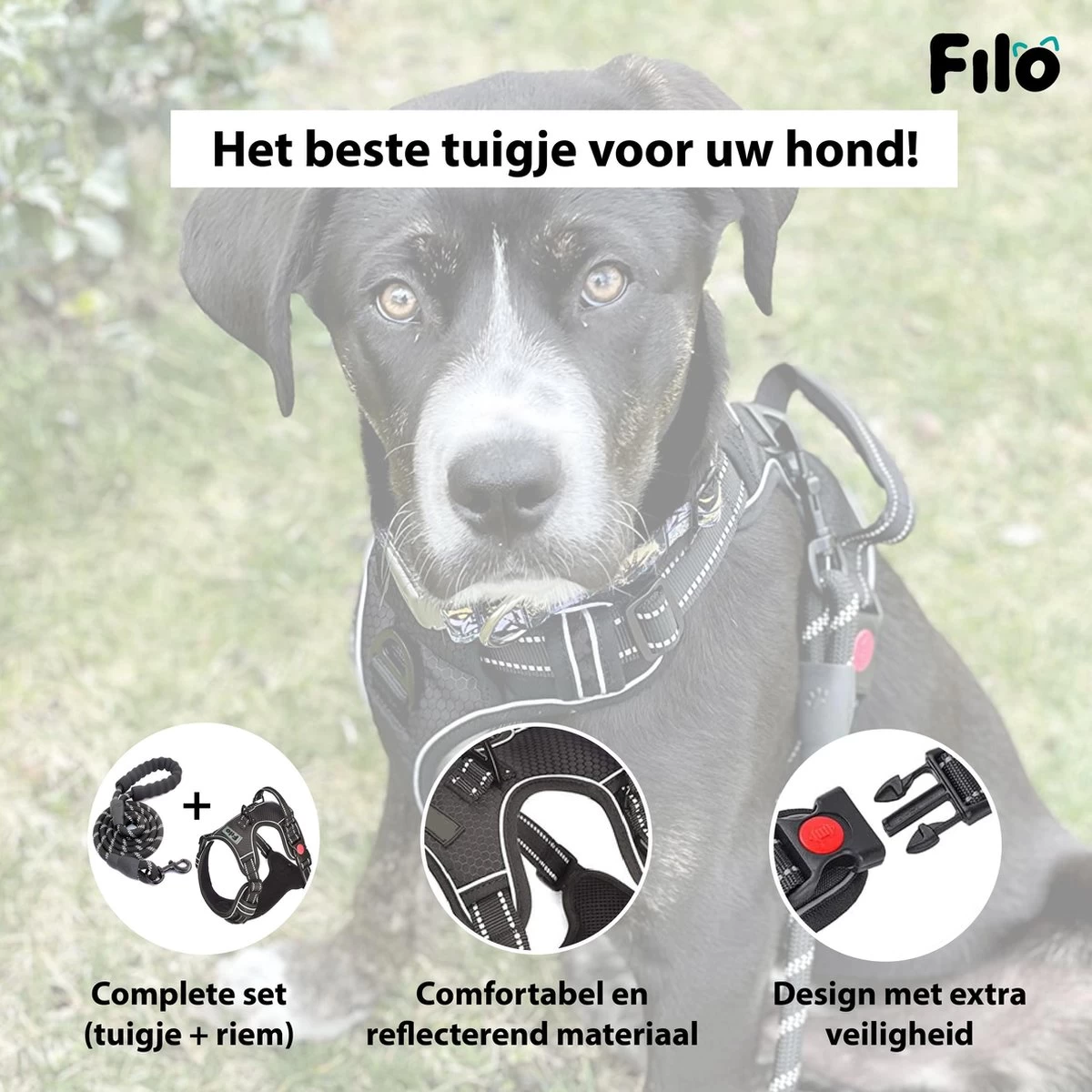 Filo Anti Trek Hondentuig S Met Hondenriem - Y Tuig Hond Verstelbaar - Hondentuigje Kleine Hond + Hondenlijn - Easy Walk Hondenharnas - Hondentuigjes - Leiband - Honden Tuigje - Puppy - Tuig - Hond - Afbeelding 7
