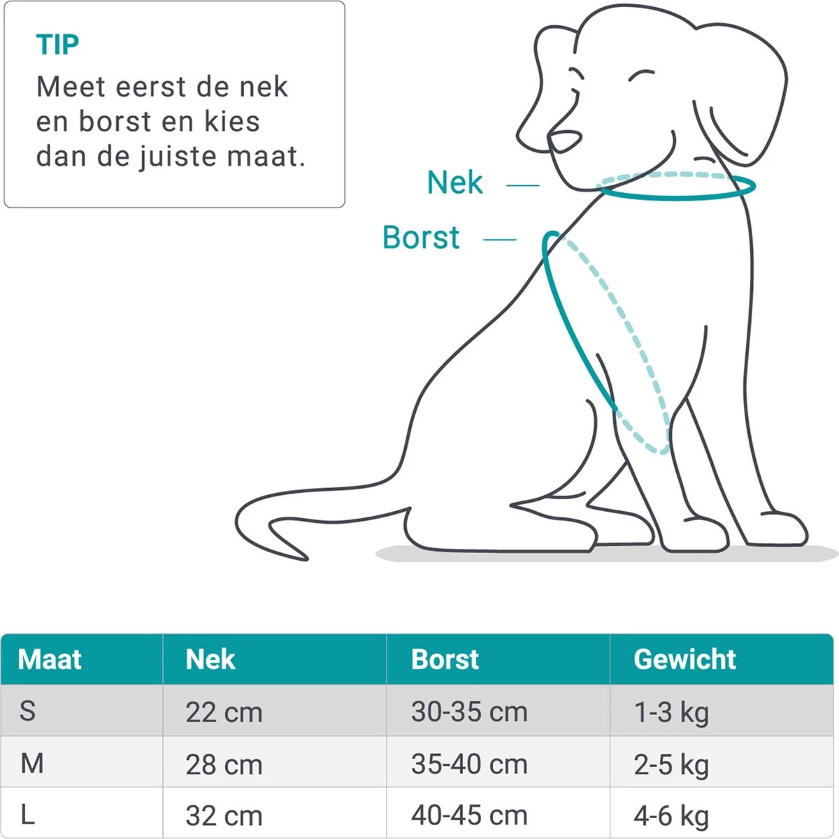 Hondentuig, Hondenharnas Met Hondenriem – Reflecterend - Zwart – Maat M (borst 35-40 Cm) - Afbeelding 3