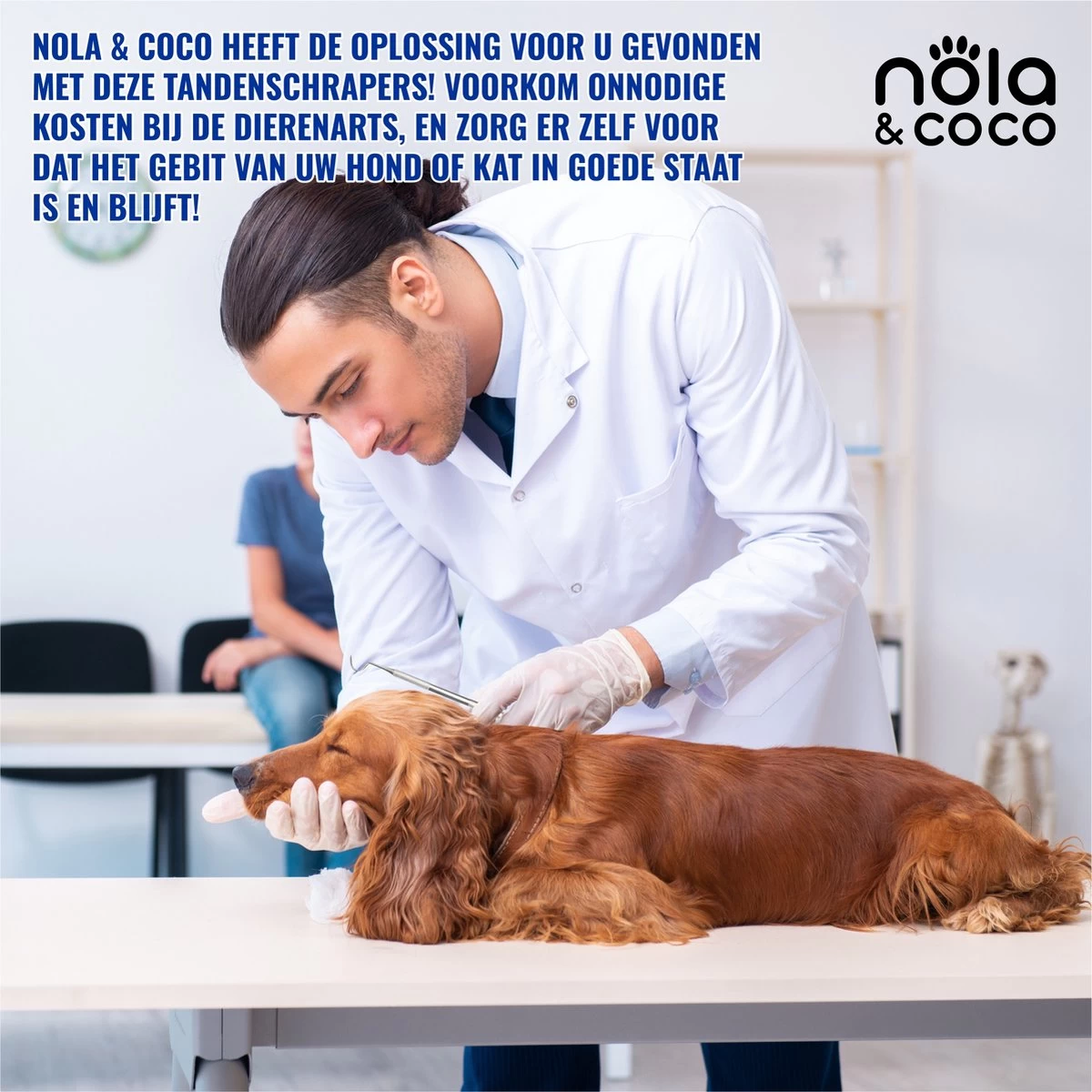Nola & Coco® Tandsteen Verwijderaar Set Inclusief Bewaardoosje - Tandenkrabber - Set Van Twee - Hond - Kat - Tandenborstel - Tandplak Verwijderen - Tandenstoker - Honden Tanden Schoonmaken - Tandenhaakje - Gebitsreiniging - Afbeelding 3