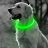 Groene LED Halsband Voor Honden Medium / Groen Verlichte Halsband / Lichtgevende Halsband Hond / Diverse Formaten Beschikaar! Oplaadbaar Via USB / USB Halsband LED