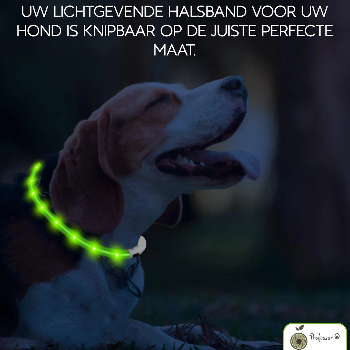 Groene LED Halsband Voor Honden Medium / Groen Verlichte Halsband / Lichtgevende Halsband Hond / Diverse Formaten Beschikaar! Oplaadbaar Via USB / USB Halsband LED - Afbeelding 4