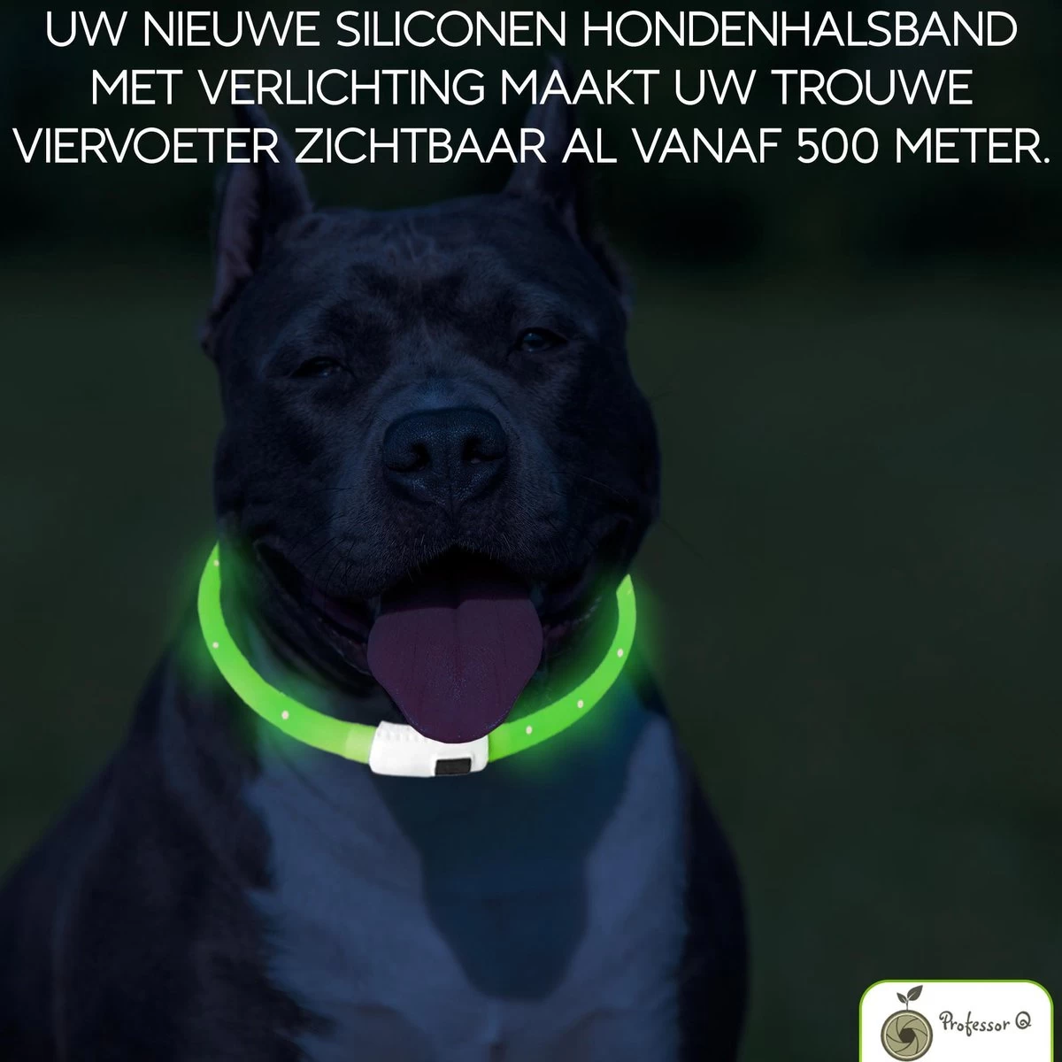 Groene LED Halsband Voor Honden Medium / Groen Verlichte Halsband / Lichtgevende Halsband Hond / Diverse Formaten Beschikaar! Oplaadbaar Via USB / USB Halsband LED - Afbeelding 5