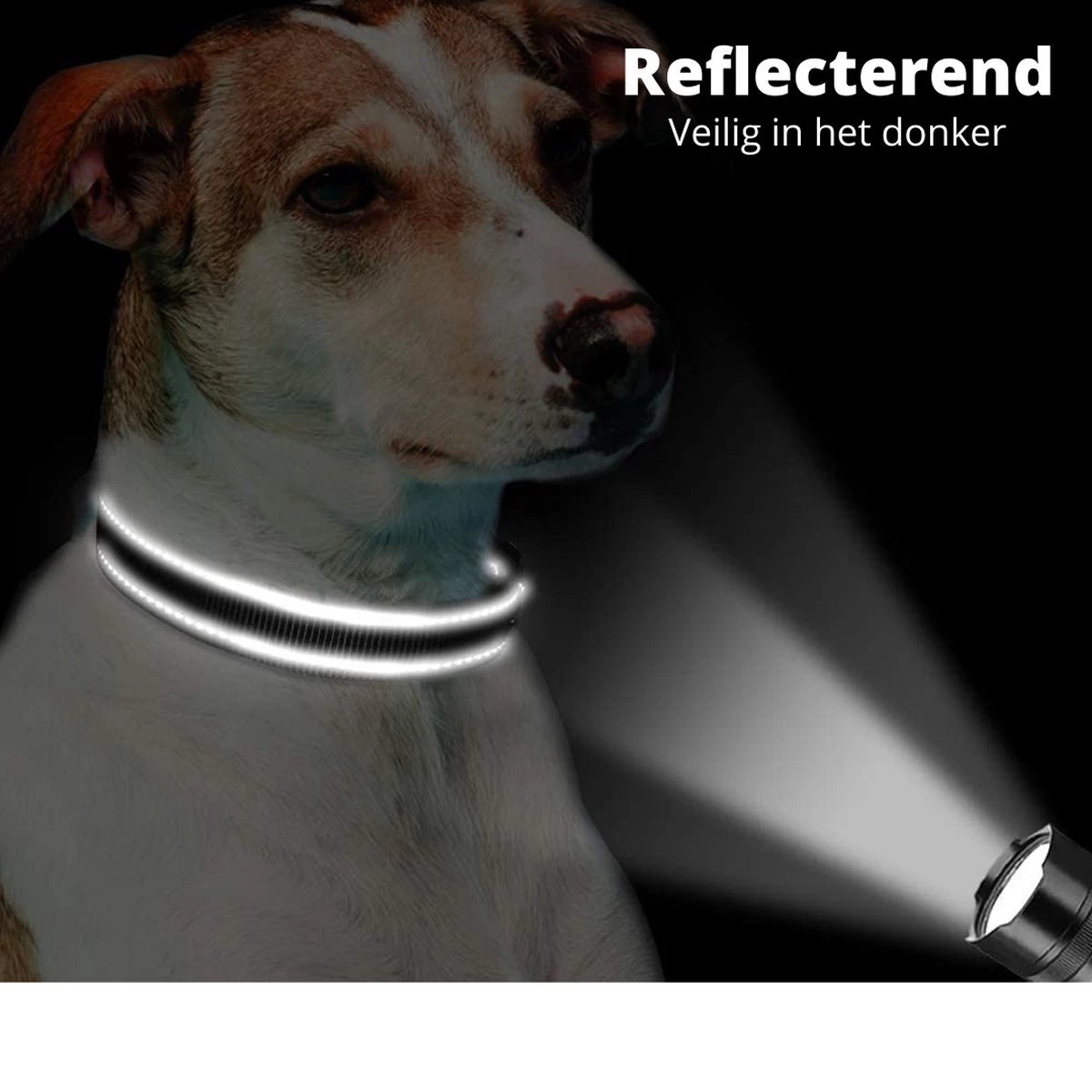 Halsband Hond - Reflecterend - Zwart - Maat M - Oersterk - Waterdicht - Hondenhalsband - Met Veiligheidssluiting - Geschikt Voor Iedere Hondenriem - Voor Middelgrote Honden - Afbeelding 5
