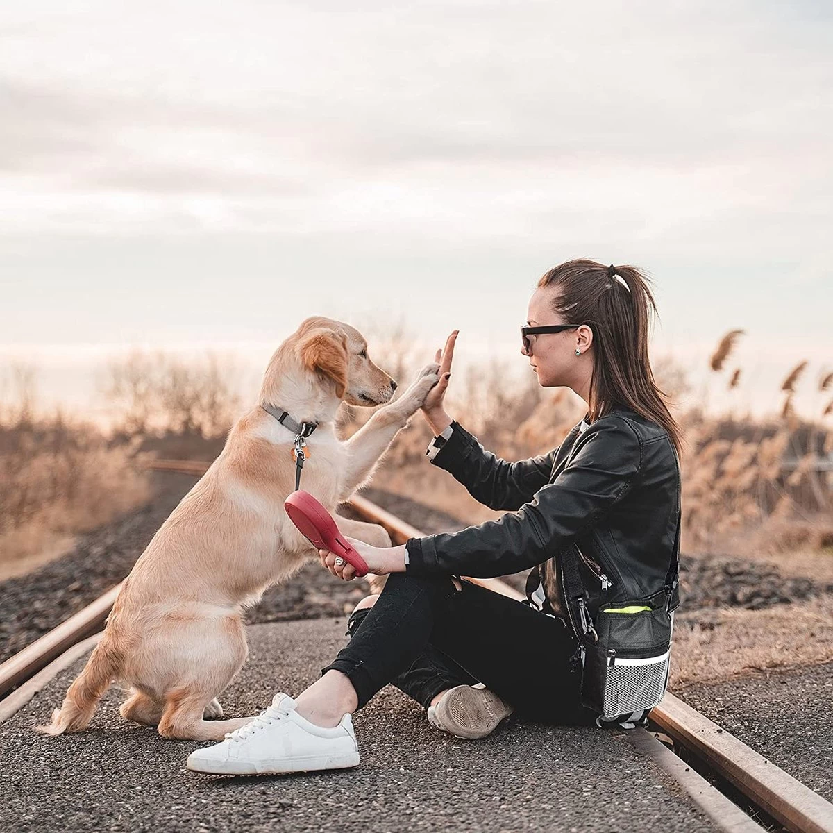 Malony Beloningstasje Voor Honden - Beloningszakje - Poepzakjes Dispenser - Verstelbare Riem - Nylon - Zwart - Afbeelding 12
