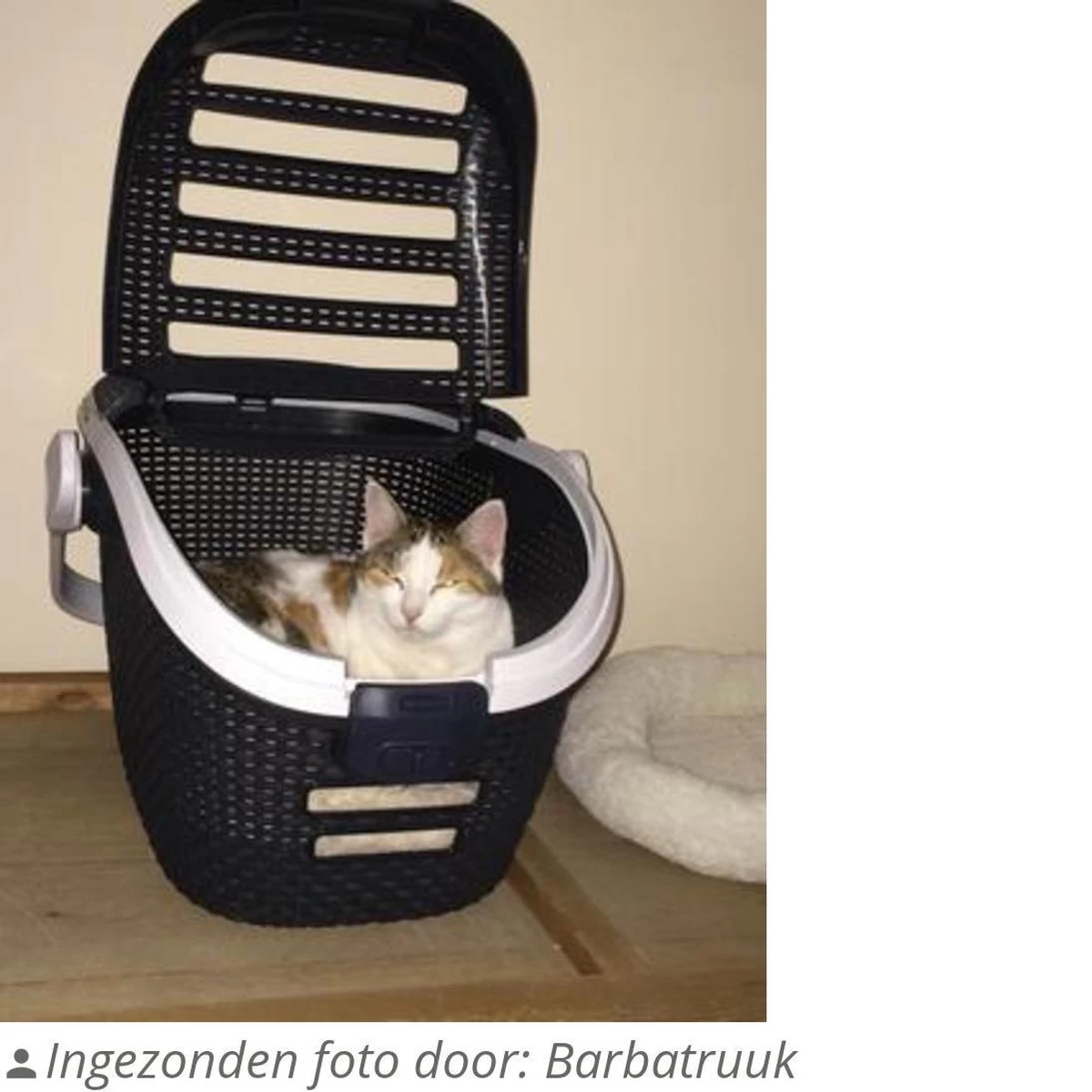 Curver Reismand - Antraciet - 51 X 38 X 33 Cm - Afbeelding 7