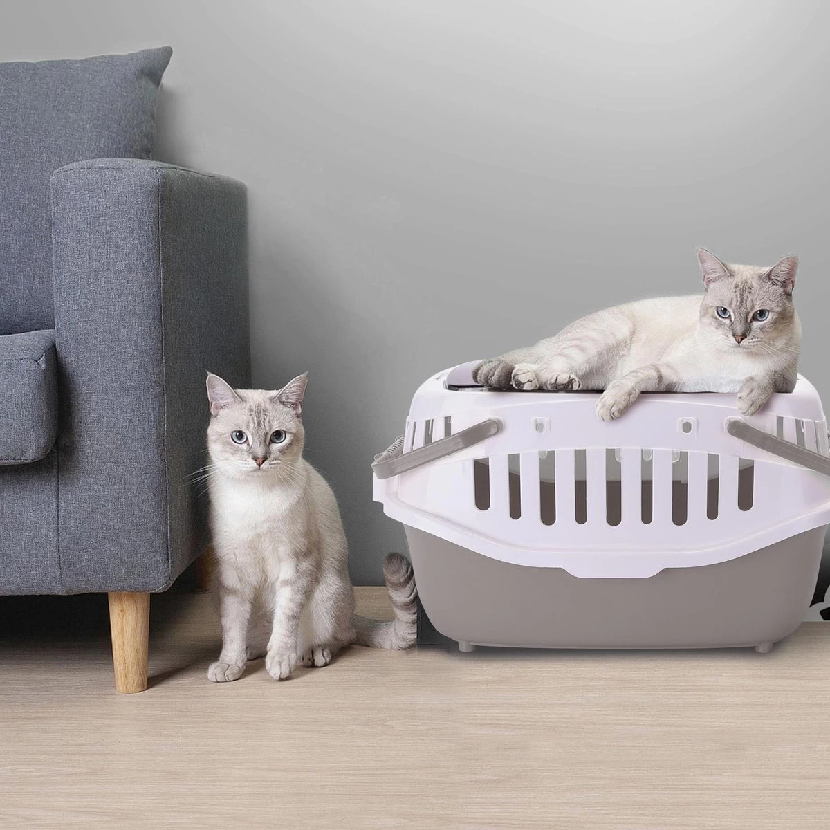 Nobleza 41WSJ - Reisbench - Reismand - Transportbox - 58 X 40 X 42.5 Cm - Grijs - Afbeelding 6