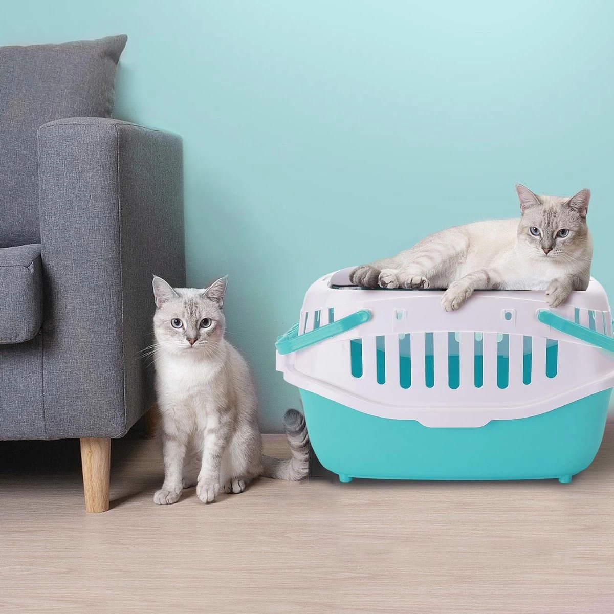 Nobleza 41WSI - Reisbench - Reismand - Transportbox - 58 X 40 X 42.5 Cm - Blauw - Afbeelding 6