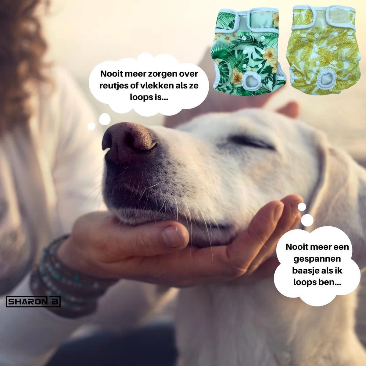 Loopsheidbroekje Hond - Bloemenprint - Maat XXL - Voor Grote Teefjes - Herbruikbaar - Hondenbroekje - Hondenluier - Loopsheid - Ongesteldheid - Voorkomt Ongewenste Zwangerschappen Bij Teefjes - Milieuvriendelijk - Verantwoord - Perfecte Pasvorm - Afbeelding 10