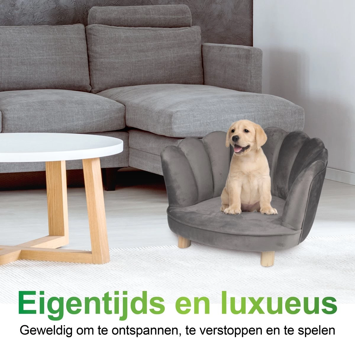 Maxxpro Katten- En Hondenstoel - Grijs - Verhoogd Met Houten Poten - Fluweel Materiaal - 61.5 X 52 X 33 CM - Huisdieren Tot 80 KG - Afbeelding 5