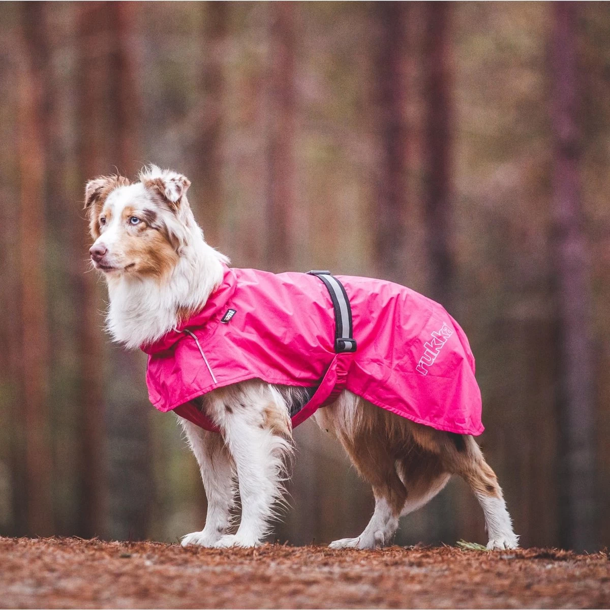 Rukka Pets Hase Raincoat - Lichtgewicht Hondenregenjas - In 2 Kleuren En 9 Maten - Kleur: Roze, Maat: Maat 40 - Afbeelding 6