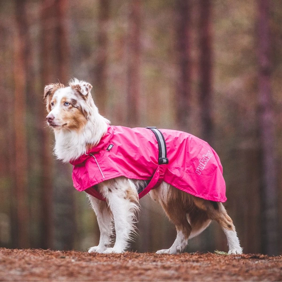 Rukka Pets Hase Raincoat - Lichtgewicht Hondenregenjas - In 2 Kleuren En 9 Maten - Kleur: Roze, Maat: Maat 40 - Afbeelding 11