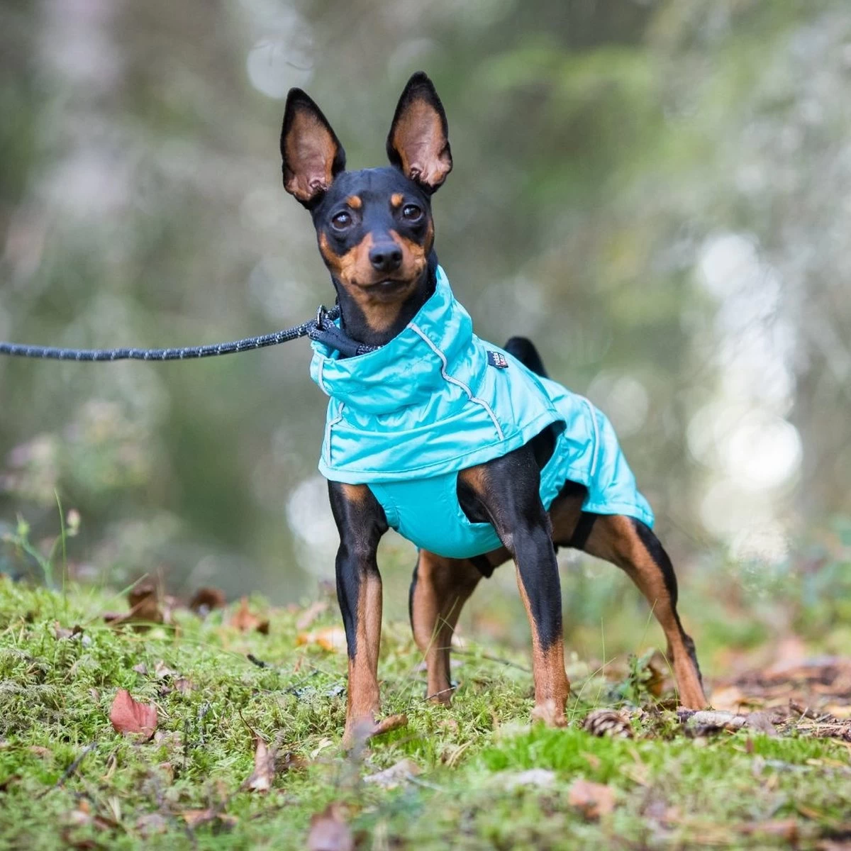 Rukka Pets Hase Raincoat - Lichtgewicht Hondenregenjas - In 2 Kleuren En 9 Maten - Kleur: Roze, Maat: Maat 40 - Afbeelding 13