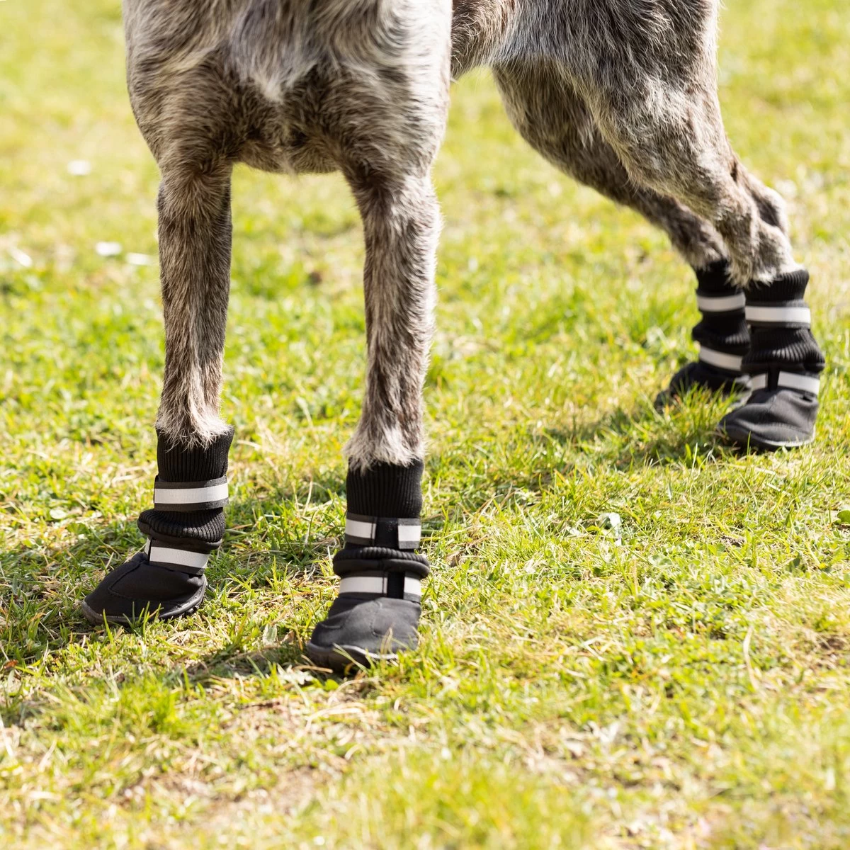 Navaris Hondenschoenen Antislip Maat M - Pootbescherming Voor Kleine Honden - Hondensokken - Bescherming Tegen Sneeuw En Vuil - Afbeelding 4