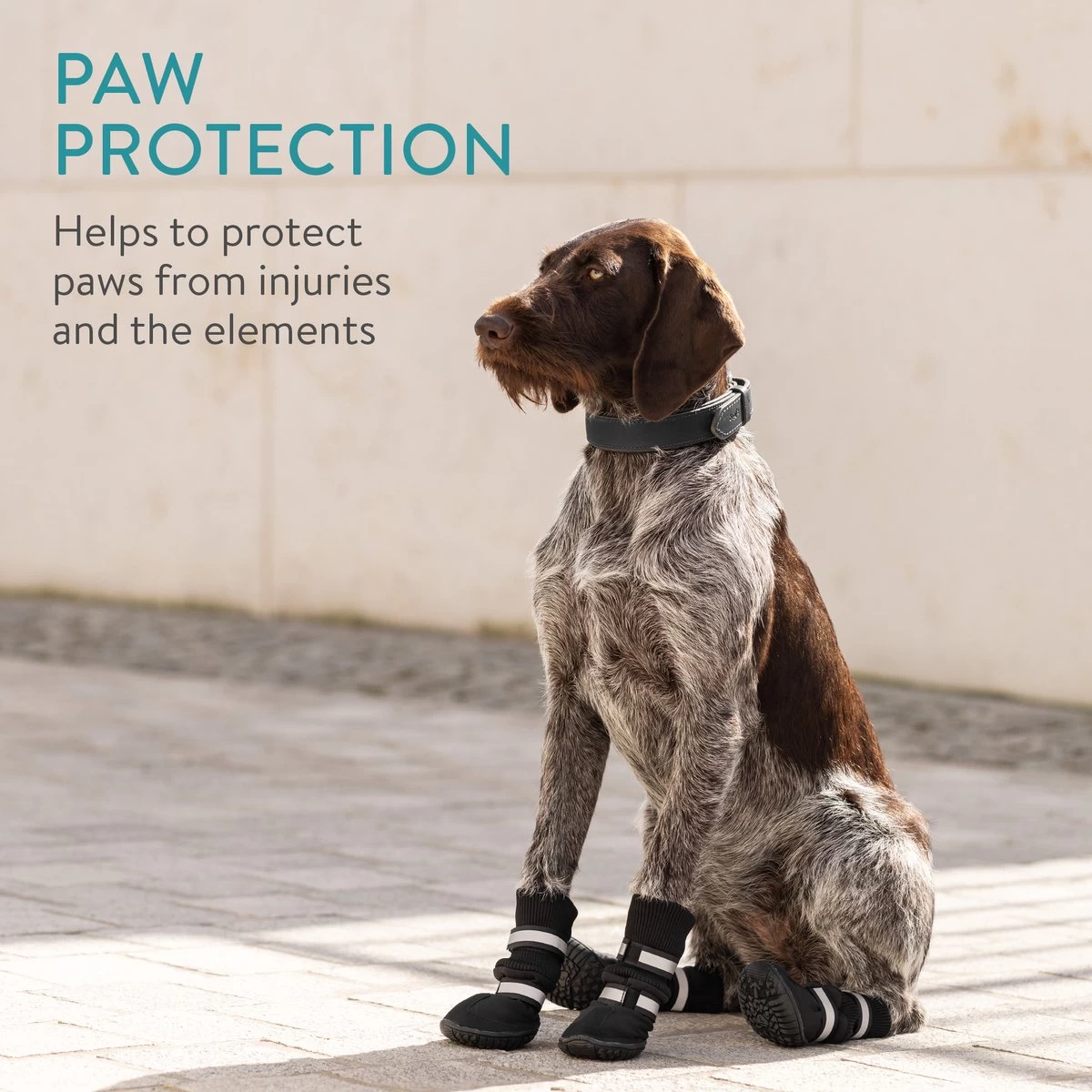 Navaris Hondenschoenen Antislip Maat M - Pootbescherming Voor Kleine Honden - Hondensokken - Bescherming Tegen Sneeuw En Vuil - Afbeelding 7