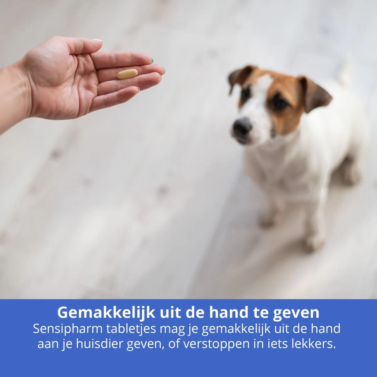 Sensipharm Anal Gland Support Hond - Bij Verstopte En Ontstoken Anaalklieren - Natuurlijk Voedingssupplement - 90 Tabletten à 1000 Mg - Afbeelding 3
