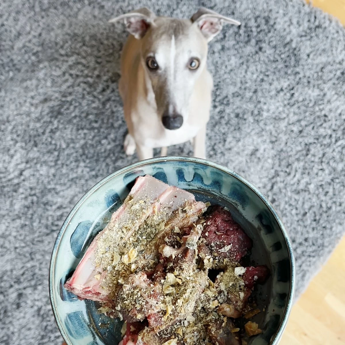 ProDen PlaqueOff Powder – 100% Natuurlijke Gebitsreiniging Voor Honden - Met Doseerschepje - 60 Gram - Afbeelding 2