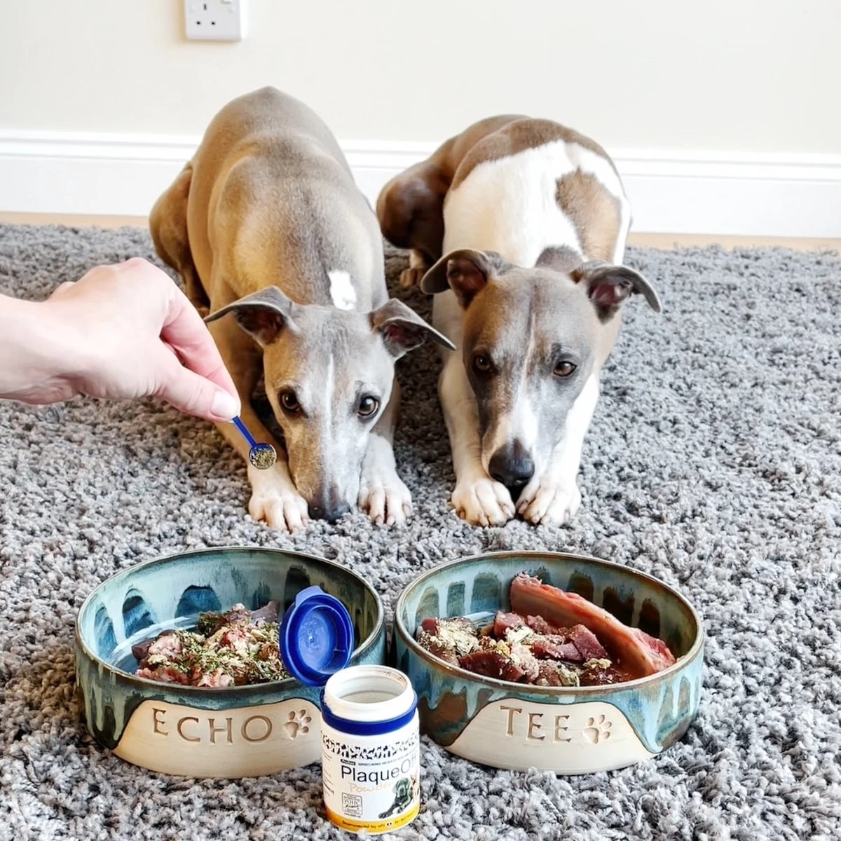 ProDen PlaqueOff Powder – 100% Natuurlijke Gebitsreiniging Voor Honden - Met Doseerschepje - 60 Gram - Afbeelding 4