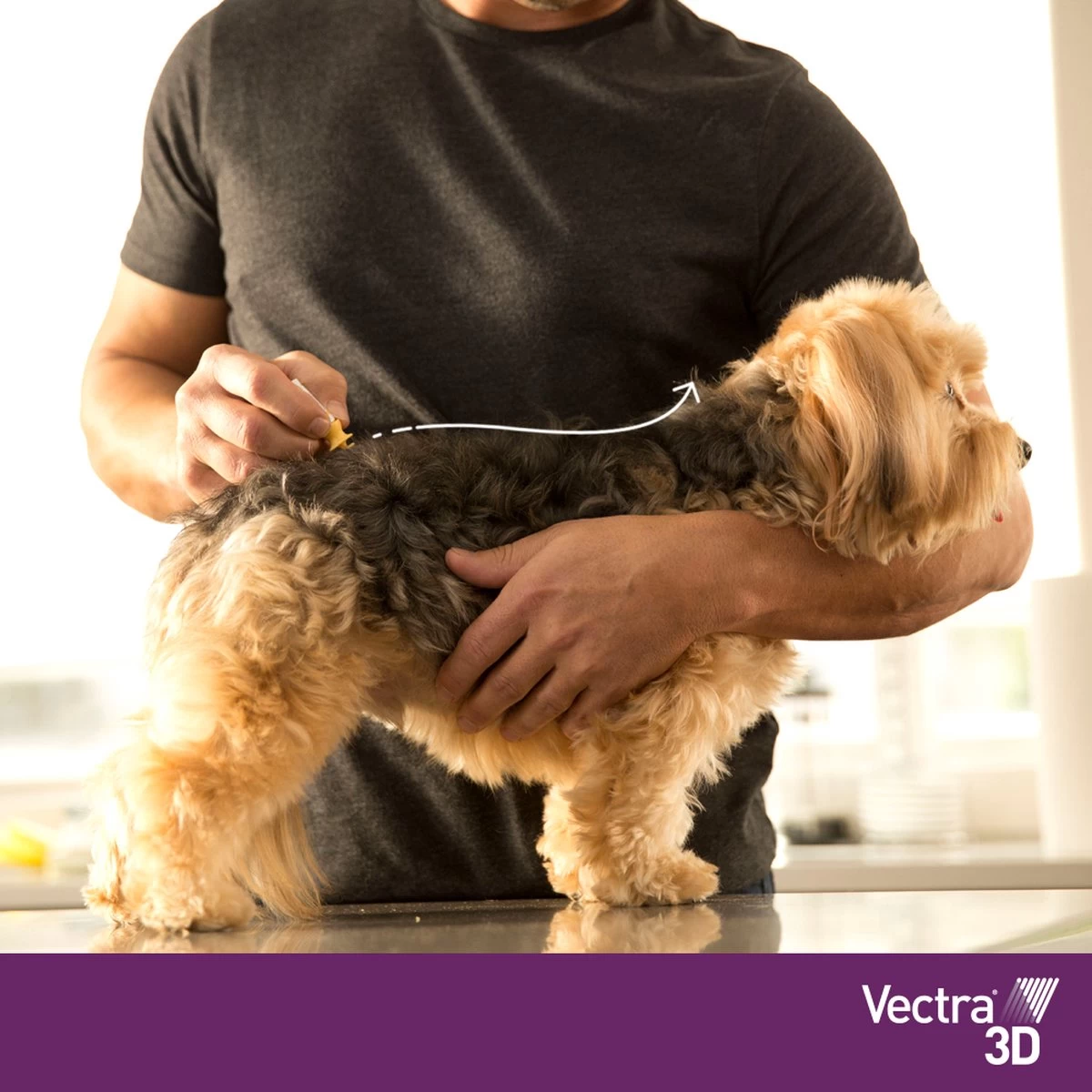 VECTRA 3D Hond - 25 Tot 40 Kg - Anti Vlooien- En Tekendruppels - 3 Pipetten - Afbeelding 5