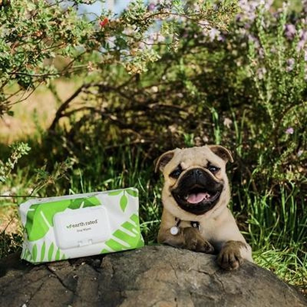 Earth Rated Dog Wipes Schoonmaakdoekjes Geurloos 100 Doekjes - Afbeelding 3
