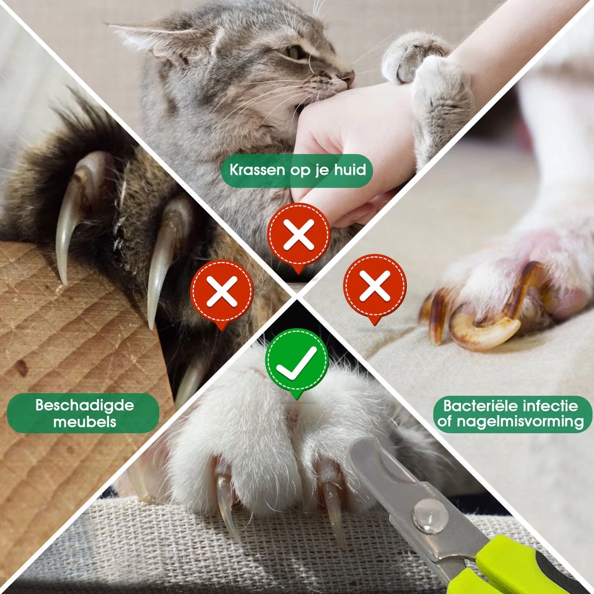 Mister Mill Nagelknipper Kat - Nagelschaar - Kleine Hond (Max. 10 Kg.) Vogel En Knaagdier - Afbeelding 5