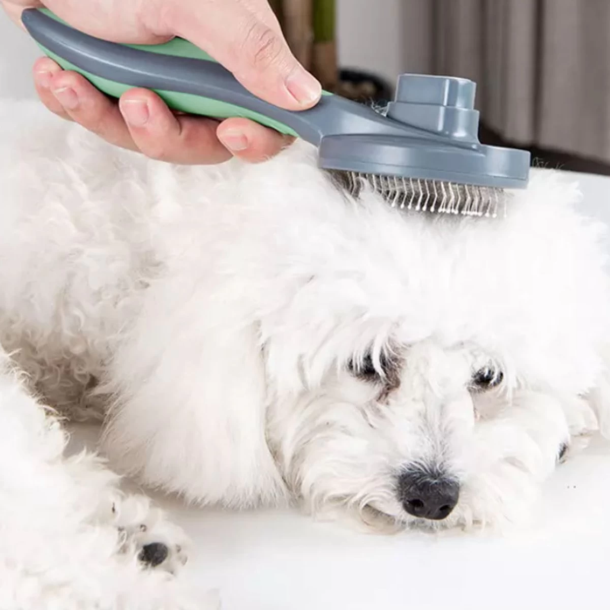 Pakeway Kattenborstel – Hondenborstel – Haarverwijderaar Voor Huisdieren – Kattenkam - Kortharig - Langharig - Inclusief Ebook! - Afbeelding 6