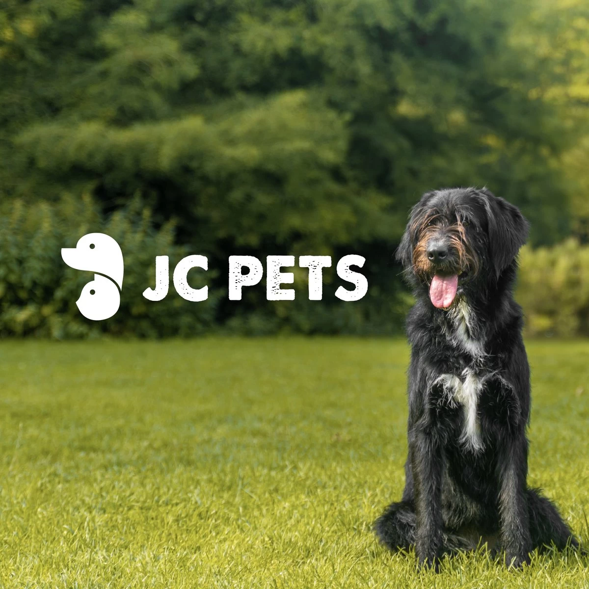 JC Pets Premium Pluizenborstel - Huisdierhaar Verwijderaar – Pluizenverwijderaar – Honden En Kattenhaar Verwijderaar - Ontpluizer - Pluizenroller - Afbeelding 6