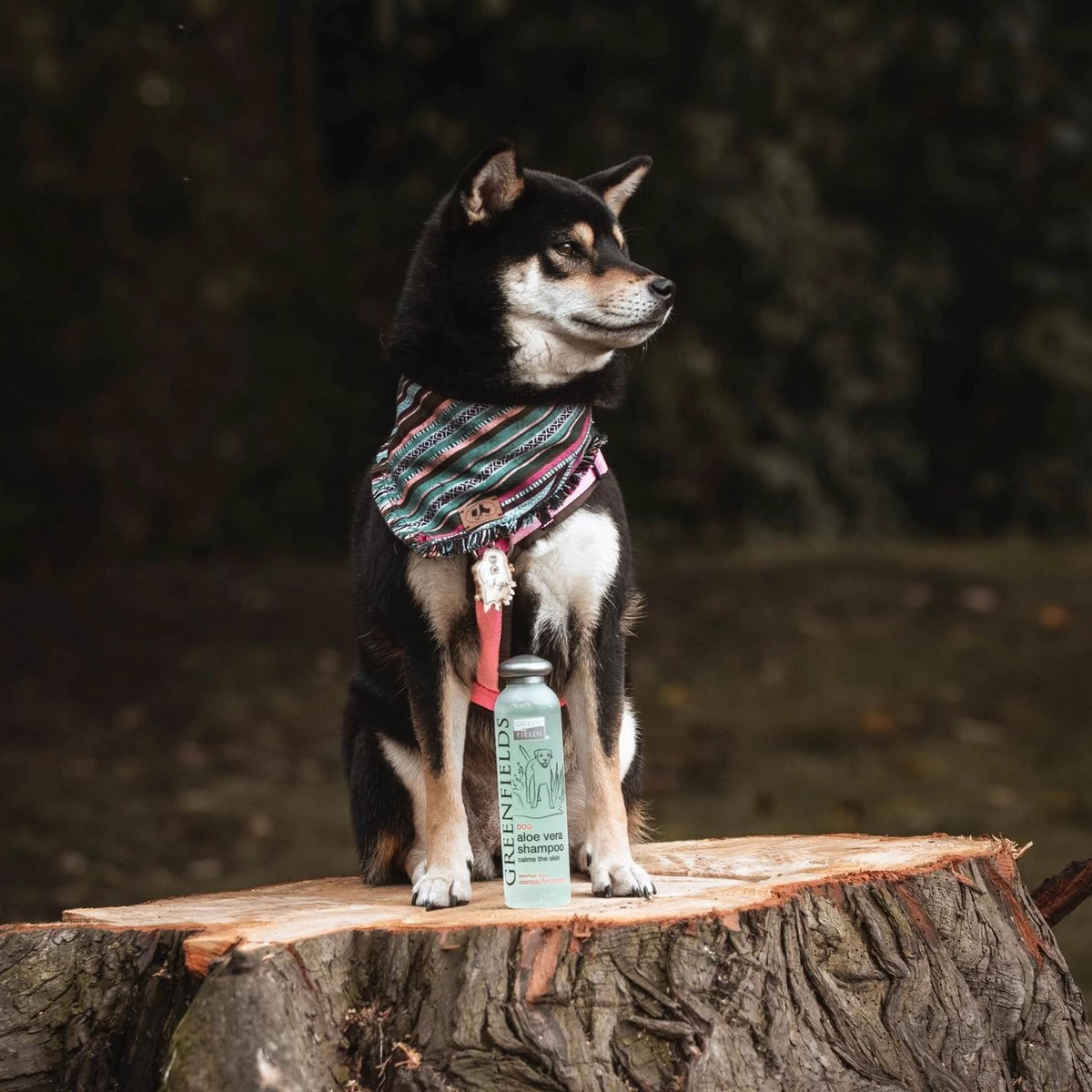 Greenfields - Krachtige Hondenshampoo Met Aloe Vera - Inhoud 270 Ml Of 5 L - 270 Ml - Afbeelding 2