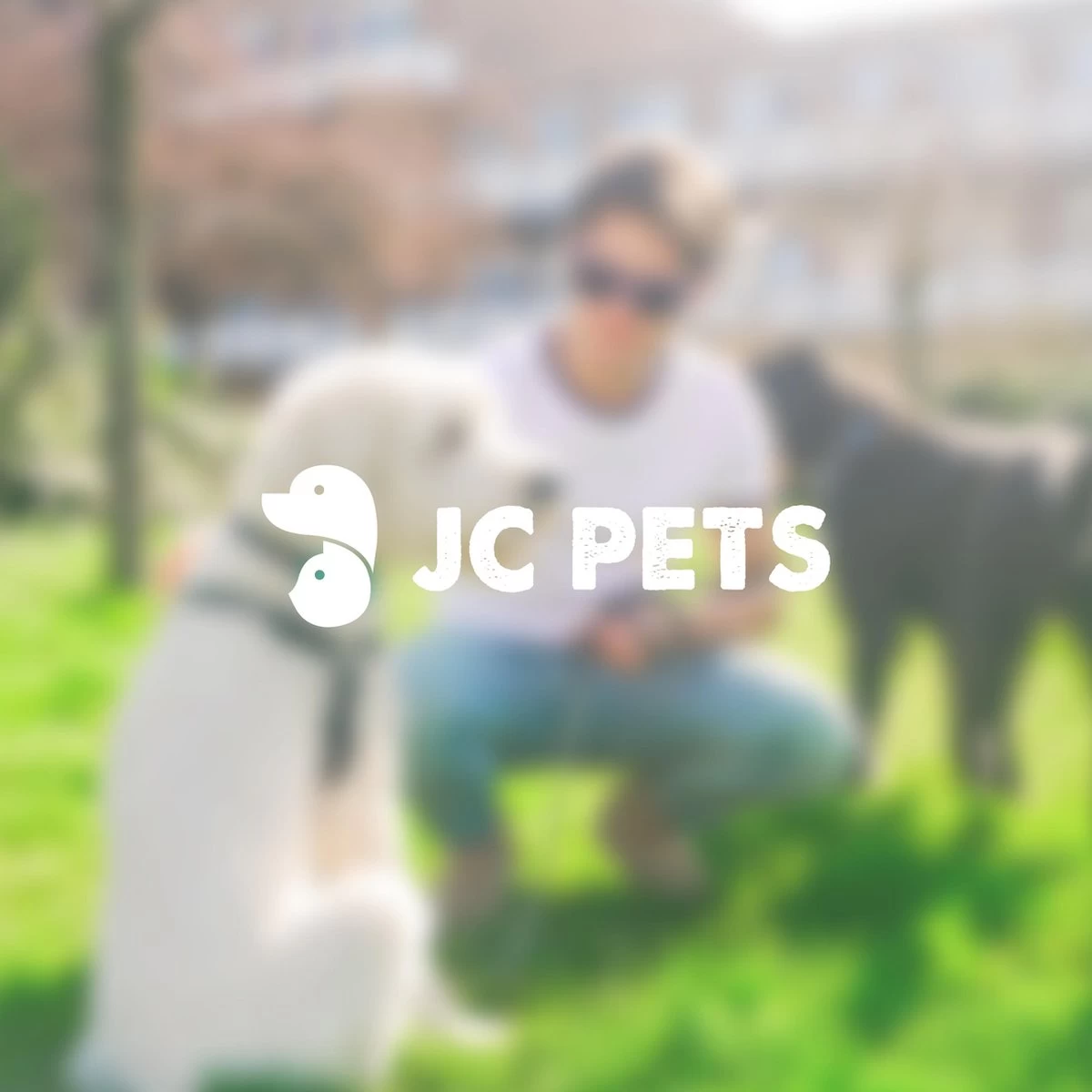 Anti Blafband - Blafband Voor Honden - Anti Blaf Apparaat - Blafband - Diervriendelijk & Zonder Schok - Afbeelding 4