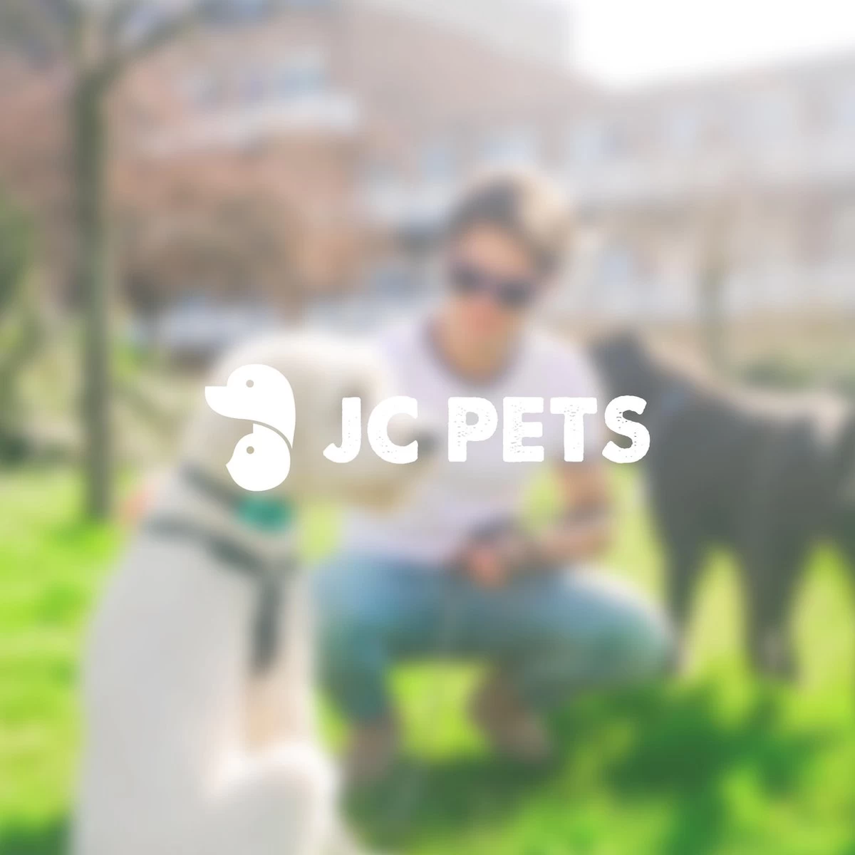 Anti Blafband - Blafband Voor Honden - Oplaadbaar - Anti Blaf Apparaat - Blafband - Diervriendelijk - Afbeelding 4