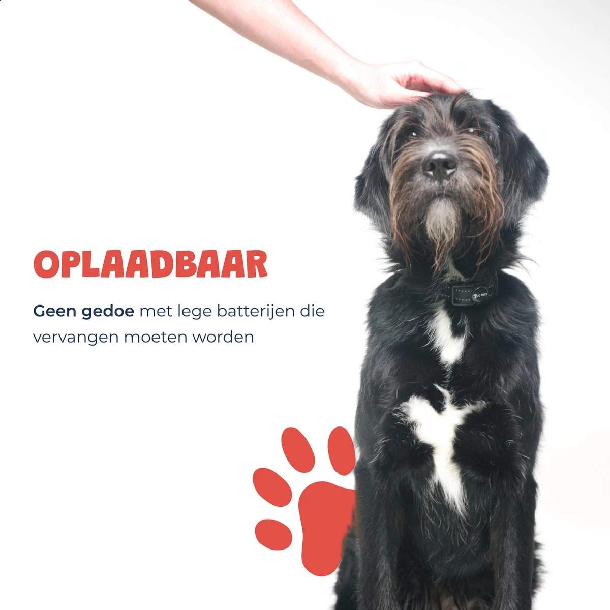 Anti Blafband - Blafband Voor Honden - Oplaadbaar - Anti Blaf Apparaat - Blafband - Diervriendelijk - Afbeelding 5