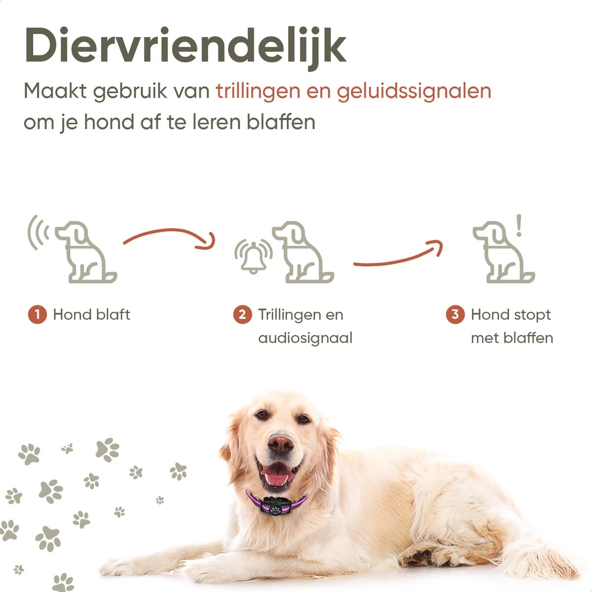 Premium Anti Blafband Om Je Hond Snel En Effectief Te Laten Stoppen Met Blaffen - Diervriendelijke Opvoedingshalsband Zonder Schok - Trainingshalsband Voor Grote En Kleine Honden - Anti Blaf Apparaat - Correctie Halsband - Afbeelding 2