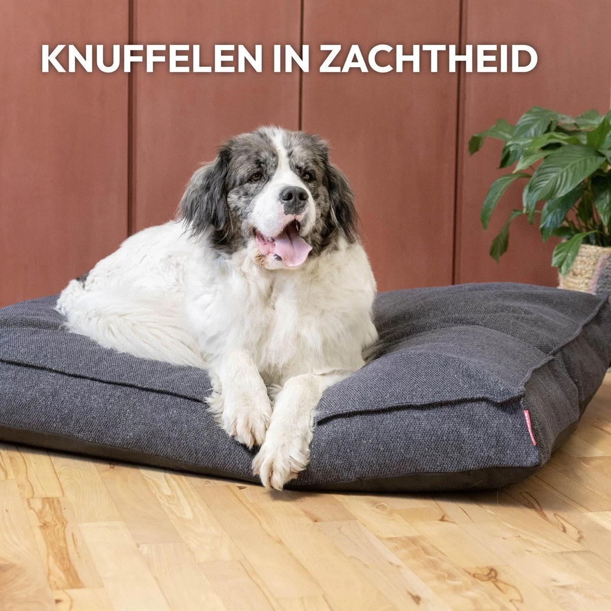 Snoozle Orthopedische Hondenmand - Zacht En Luxe Hondenkussen - Hondenbed - Wasbaar - Hondenmanden - 120 X 90 Cm - Groen - Afbeelding 11